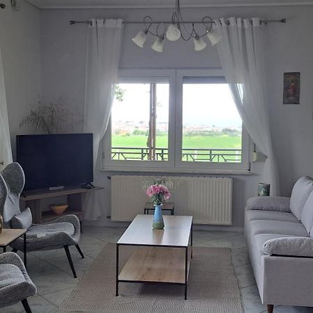 Hill View 4 Villa อเล็กซานโดรโพลิส ภายนอก รูปภาพ