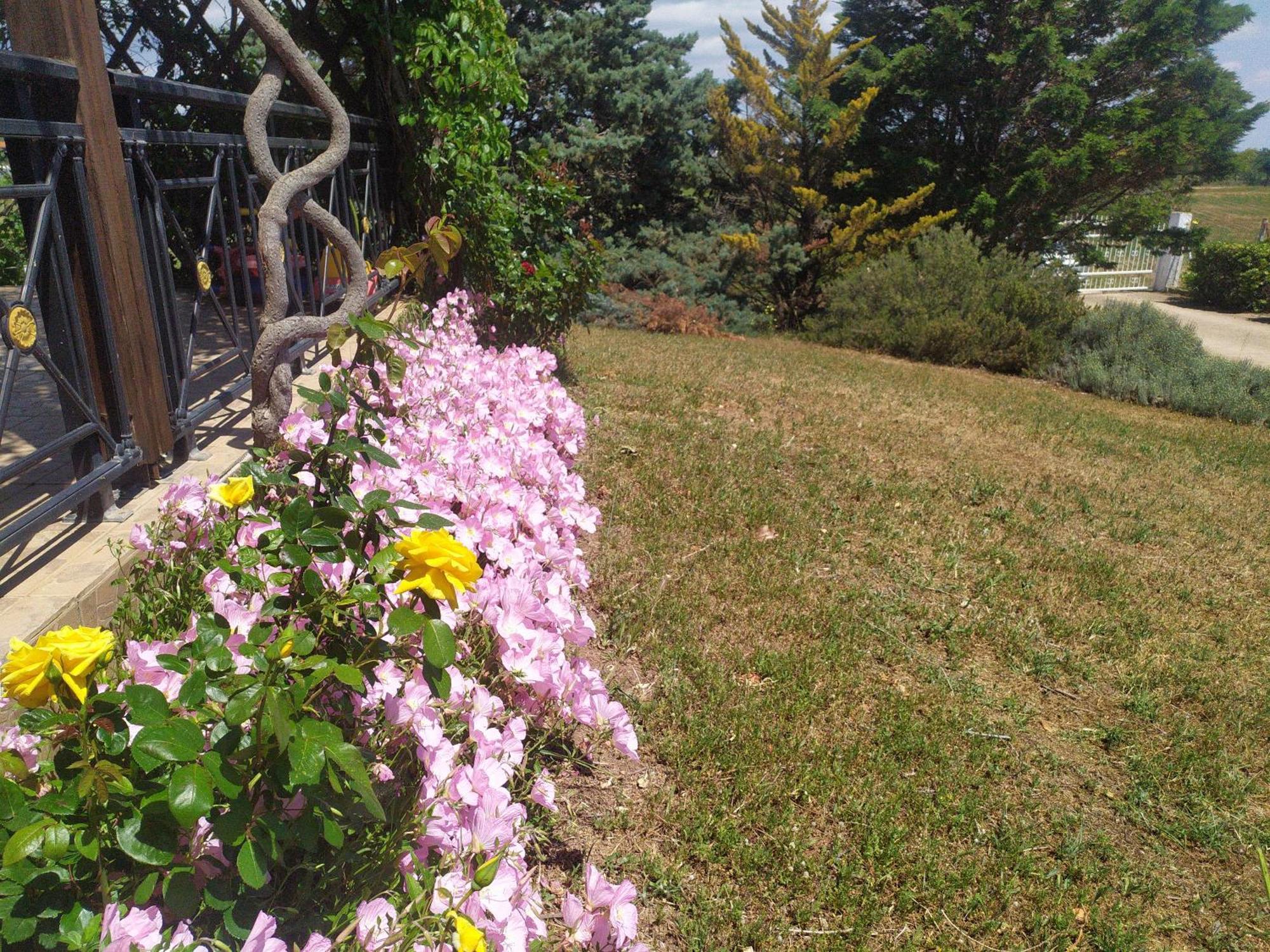 Hill View 4 Villa อเล็กซานโดรโพลิส ภายนอก รูปภาพ